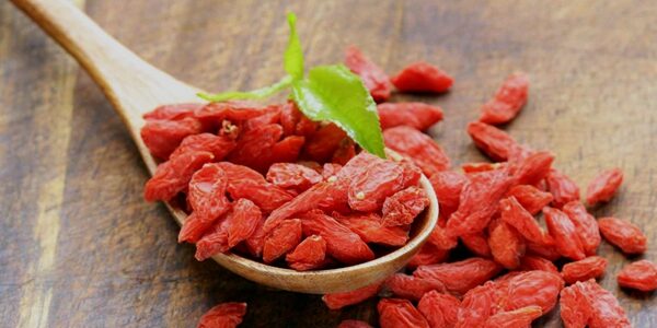 goji berry nutrition