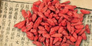 goji berry nutrition