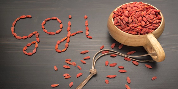 4 Factors Goji berries Are Amazing - Union Sure From China