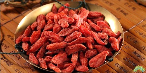 ningxia goji berry