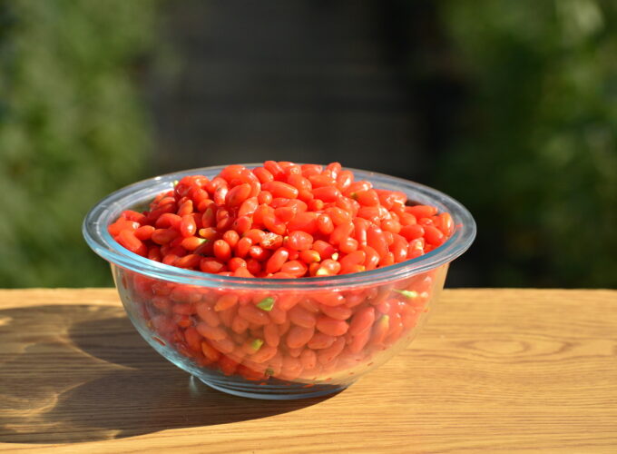 goji berry