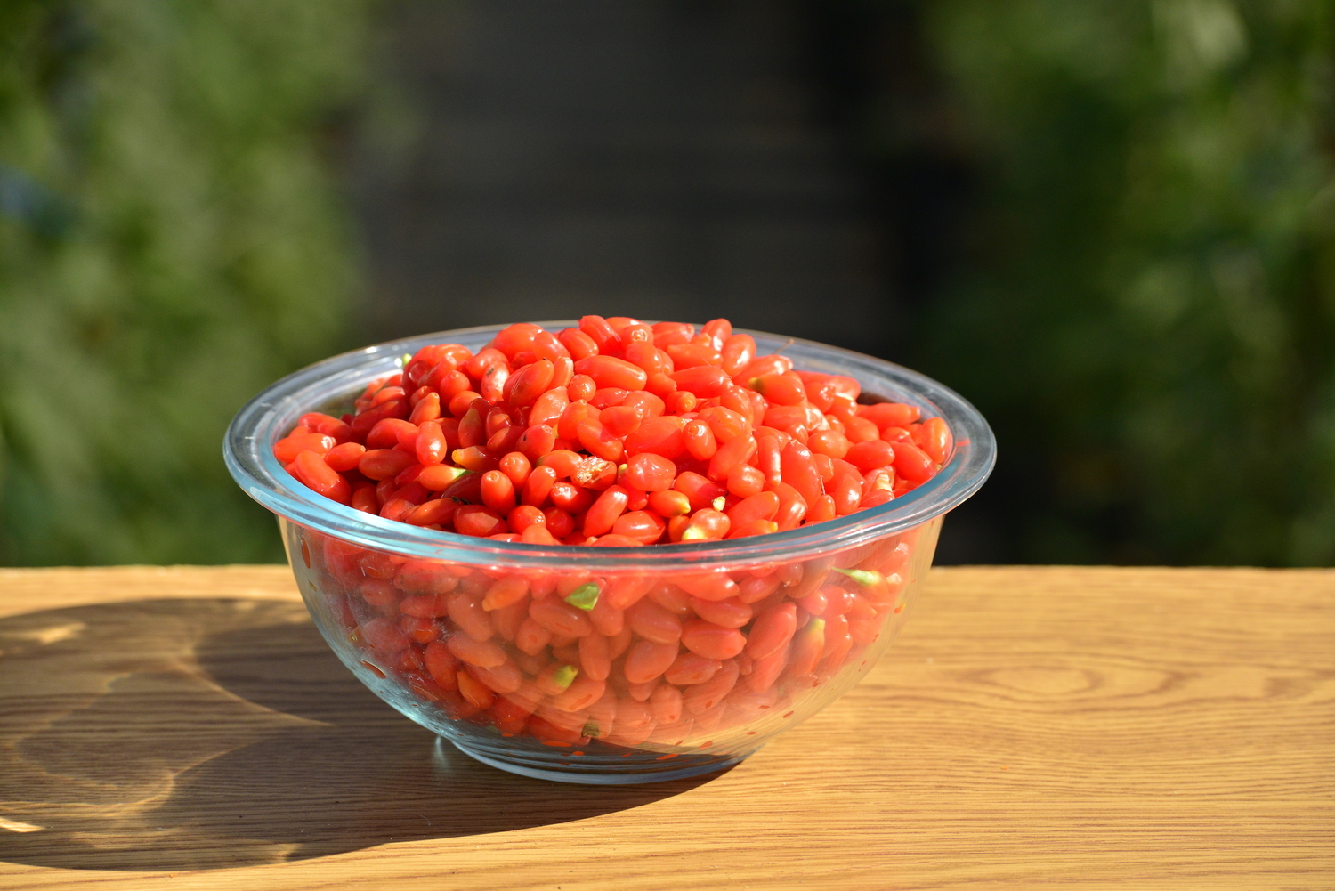 goji berry