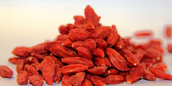 organic goji berry