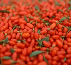 goji berry