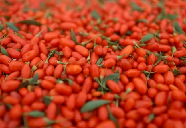 goji berry