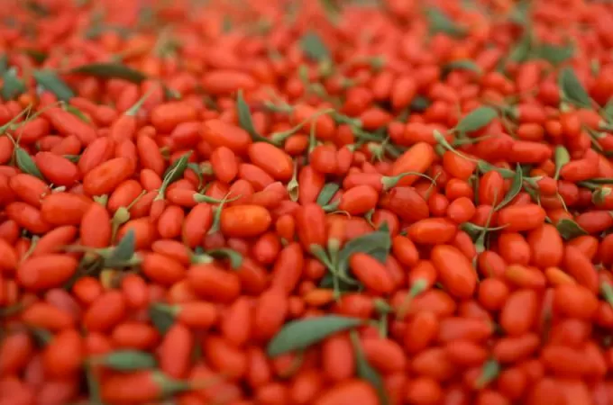 goji berry