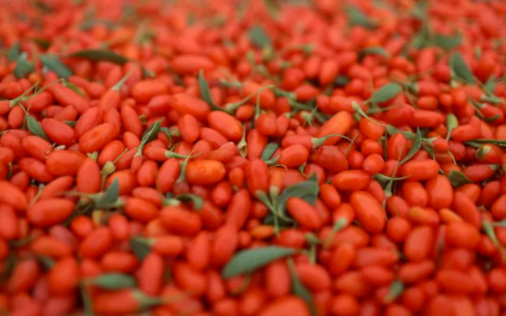 goji berry