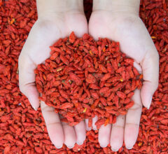 goji berry