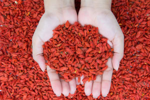 goji berry