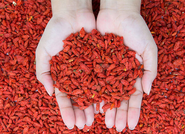 goji berry