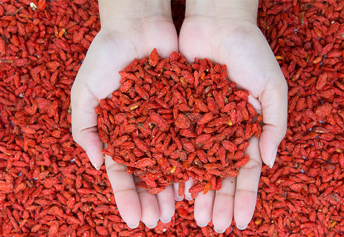 goji berry