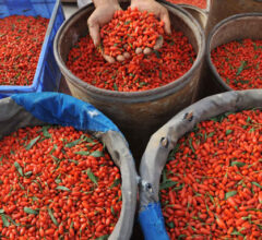 goji berry