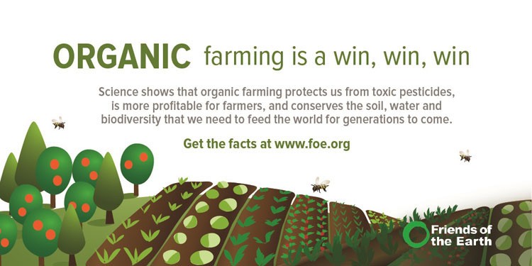 The Effects Of Organic Farming On The