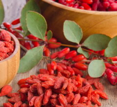 goji berry export