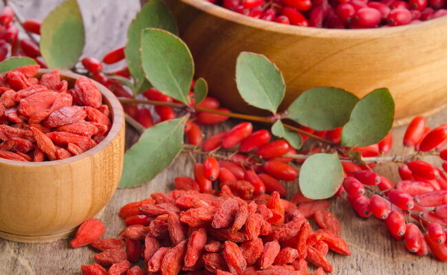 goji berry export