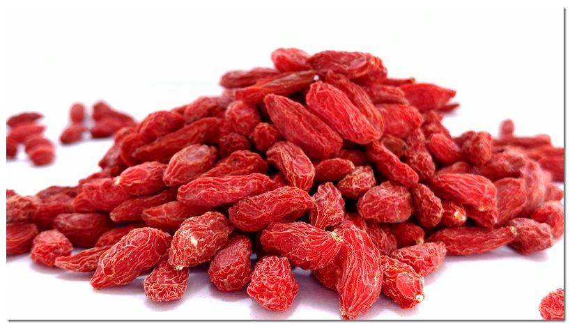 Goji Berry Effects on Macular Characteristics and Plasma Antioxidant Levels