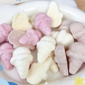 Freeze-Dried Ice-Cream