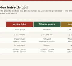 Calibrage des baies de goji exprimé en nombre de baies pour 50 grammes, montrant le lien entre nombre, taille du fruit et usage typique