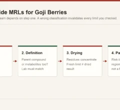 Chain of decisions for EU pesticide MRL compliance on goji berries: commodity classification, residue definition, drying factor and risk-based panel