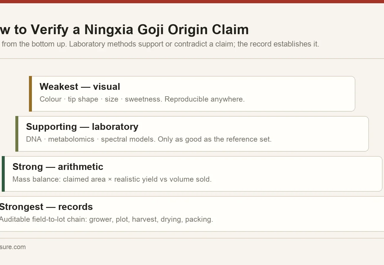 Evidence hierarchy for verifying a Ningxia goji origin claim, from visual inspection at the weakest level to an auditable field-to-lot record at the strongest